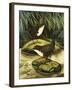 The Dipper, Also Known as the Water Ousel-David Pratt-Framed Giclee Print