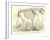 The Diprotodon-null-Framed Giclee Print