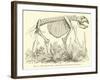 The Diprotodon-null-Framed Giclee Print