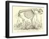 The Diprotodon-null-Framed Giclee Print