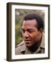 Brown Frame