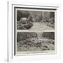 The Disaster at St Gervais, in Savoy, Near Mont Blanc-null-Framed Giclee Print