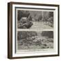 The Disaster at St Gervais, in Savoy, Near Mont Blanc-null-Framed Giclee Print