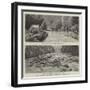 The Disaster at St Gervais, in Savoy, Near Mont Blanc-null-Framed Giclee Print