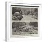 The Disaster at St Gervais, in Savoy, Near Mont Blanc-null-Framed Giclee Print