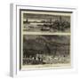 The Disastrous Floods in Austria, Hungary-null-Framed Giclee Print