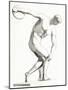 The Discobolus of Myron. Greek Sculpture. from the National Encyclopaedia, Published C.1890-null-Mounted Giclee Print