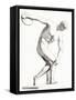 The Discobolus of Myron. Greek Sculpture. from the National Encyclopaedia, Published C.1890-null-Framed Stretched Canvas