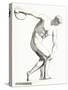 The Discobolus of Myron. Greek Sculpture. from the National Encyclopaedia, Published C.1890-null-Stretched Canvas