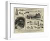 The Discovery of a Viking's Tomb at Taplow-null-Framed Giclee Print