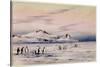 'The Discovery Winter Quarters', c.1901-04-Edward Adrian Wilson-Stretched Canvas