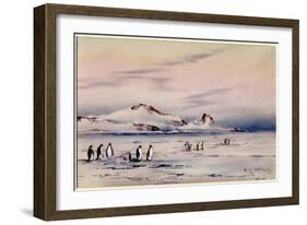 'The Discovery Winter Quarters', c.1901-04-Edward Adrian Wilson-Framed Giclee Print