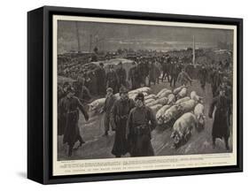 The Dispute in the Bacon Trade in Ireland, Police Protecting a Drover and His Pigs in Waterford-William Small-Framed Stretched Canvas