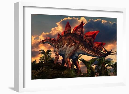 The Distinctive Shape of Stegosaurus Stands Out Against the Sunset-null-Framed Art Print