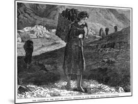 The Distress in the West Ireland: Bringing in Fuel from the Hills Near Kylemore, 19th Century-null-Mounted Giclee Print