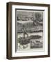 The Distress in the West of Ireland-William Heysham Overend-Framed Giclee Print