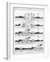 The Disturbed Nap by William Heath Robinson-W. Heath Robinson-Framed Art Print