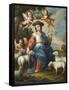 The Divine Shepherdess (La Divina Pastora), c.1760-Miguel Cabrera-Framed Stretched Canvas