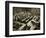 The Dock at the Nuremberg Trials. Front Row from Left: Hermann Goring-null-Framed Giclee Print