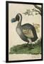 The Dodo in Profile-null-Framed Art Print
