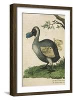 The Dodo in Profile-null-Framed Art Print