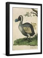 The Dodo in Profile-null-Framed Art Print