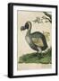 The Dodo in Profile-null-Framed Art Print