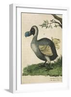 The Dodo in Profile-null-Framed Art Print