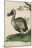 The Dodo in Profile-null-Mounted Art Print