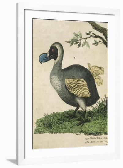 The Dodo in Profile-null-Framed Art Print