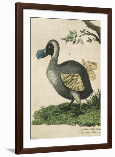 The Dodo in Profile-null-Framed Art Print