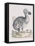 The Dodo-Frederick P. Nodder-Framed Stretched Canvas