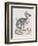 The Dodo-Frederick P. Nodder-Framed Giclee Print