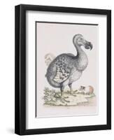 The Dodo-Frederick P. Nodder-Framed Giclee Print