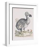 The Dodo-Frederick P. Nodder-Framed Giclee Print