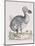 The Dodo-Frederick P. Nodder-Mounted Giclee Print