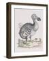 The Dodo-Frederick P. Nodder-Framed Giclee Print