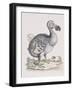 The Dodo-Frederick P. Nodder-Framed Giclee Print