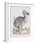 The Dodo-Frederick P. Nodder-Framed Giclee Print