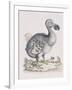 The Dodo-Frederick P. Nodder-Framed Giclee Print