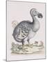 The Dodo-Frederick P. Nodder-Mounted Giclee Print