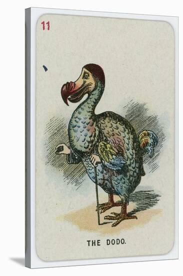 The Dodo-John Tenniel-Stretched Canvas