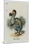 The Dodo-John Tenniel-Mounted Giclee Print