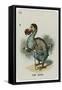 The Dodo-John Tenniel-Framed Stretched Canvas