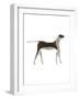 The Dog,2009-Cristina Rodriguez-Framed Giclee Print