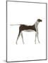 The Dog,2009-Cristina Rodriguez-Mounted Giclee Print