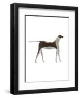 The Dog,2009-Cristina Rodriguez-Framed Premium Giclee Print