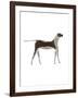 The Dog,2009-Cristina Rodriguez-Framed Giclee Print