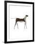 The Dog,2009-Cristina Rodriguez-Framed Giclee Print