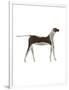 The Dog,2009-Cristina Rodriguez-Framed Premium Giclee Print